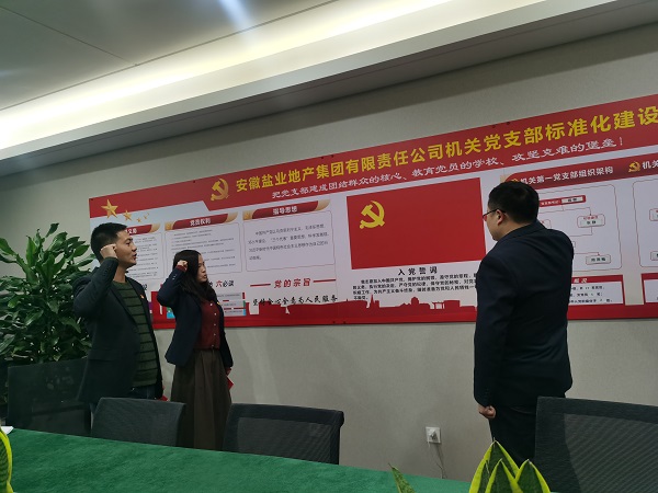 安徽鹽業(yè)地產(chǎn)集團(tuán)機(jī)關(guān)第一黨支部開展“佩黨徽、誦誓詞、贈(zèng)黨章、上黨課”黨員教育活動(dòng)